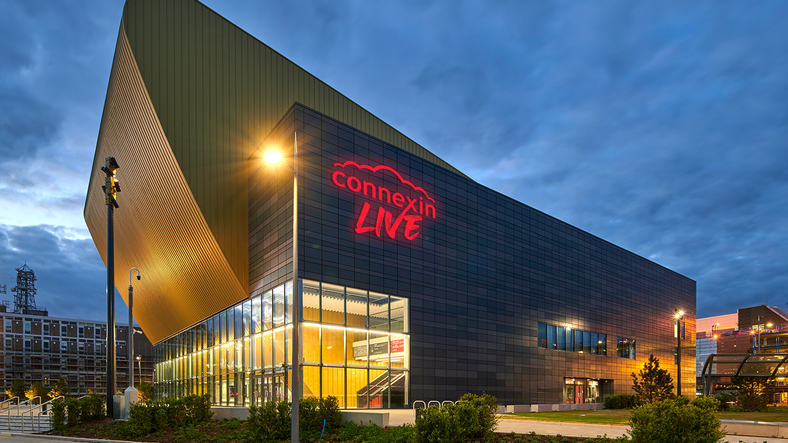 connexin live